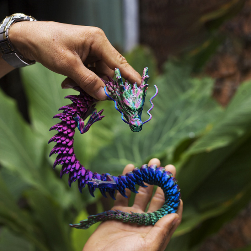 Modelo de dragón con impresión - Car Accessories Walmart reseña y precio