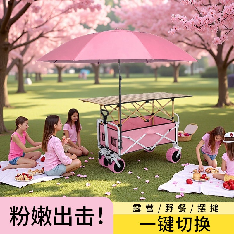 Carrito Plegable Rosa para Cam - Car Accessories You Must Have reseña y precio