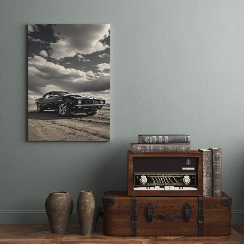 Póster de coches de marca famo - Car Accessories Brand reseña y precio