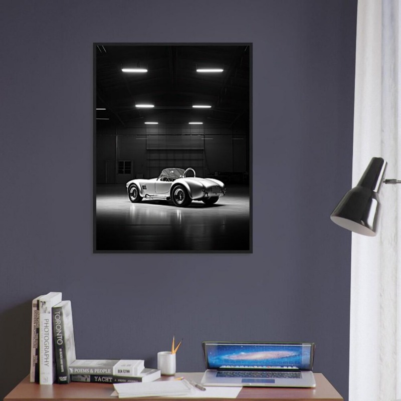 Póster de coches de marca famo - Car Accessories Brand reseña y precio